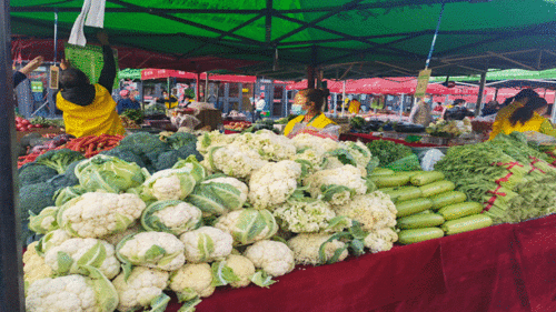 開市啦！日用百貨市場繁榮景象